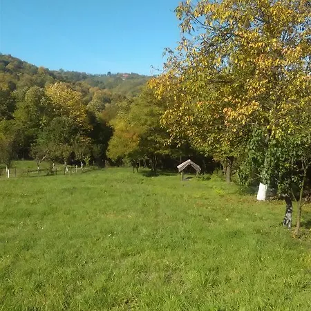Beslagic Brdo * Добой